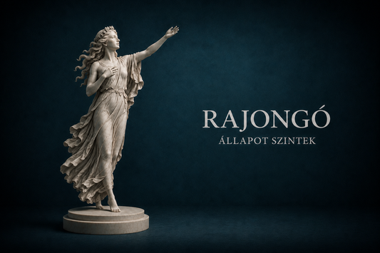 Rajongó - A 9 szint