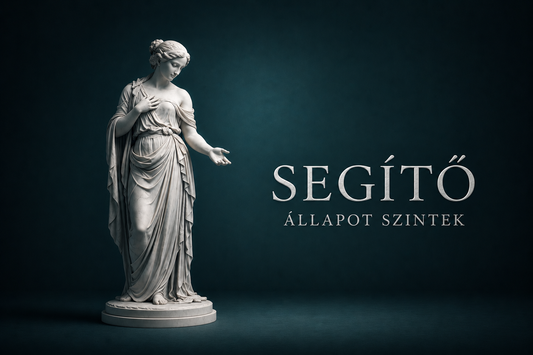 Segítő - A 9 szint