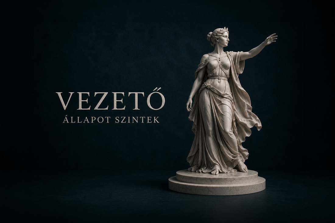 Vezető - A 9 szint